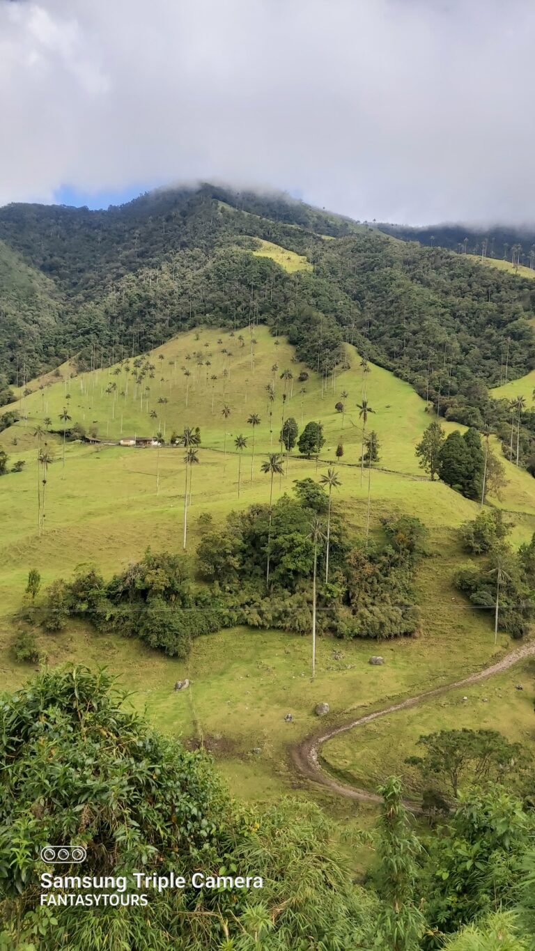 Valle del Cocóra