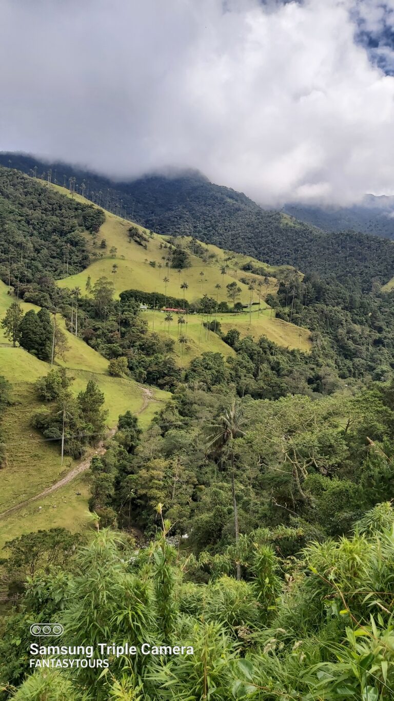 Valle del Cocóra