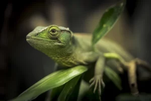 City Tour Por Medellín Con Graffitour, Ingreso Al Acuario Y Recorrido En Metro Y Metro Cable, ¡Únete este jueves 26 de enero de 2023!