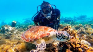 Excursión A San Andrés Desde Medellín En El Puente De Marzo Con Tour Vuelta A La Isla, Acuario, Hannes Kay Y Manglares, ¡Únete este miércoles 15 de marzo de 2023!