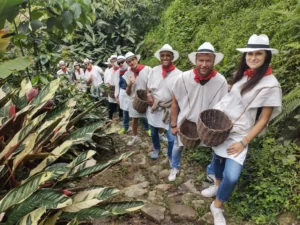 Coffee Tour En Medellín - Experiencia Cafetera Tour Del Café, ¡Acompáñanos el jueves 9 de febrero de 2023!