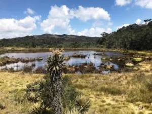 Senderismo Extremo Al Páramo De Santa Inés, Belmira, ¡Viaje programado para el domingo 19 de marzo de 2023!