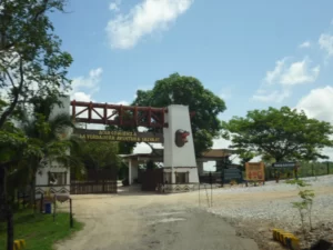 Tour A La Hacienda Nápoles Con Ingreso A La Sabana Africana, Museo Y Zonas Húmedas, ¡Descubre este destino el sábado 8 de abril de 2023!