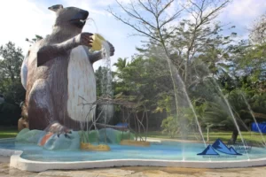 Día De Sol En Kanaloa Para Empresas Y Grupos, ¡Acompáñanos el jueves 6 de abril de 2023!