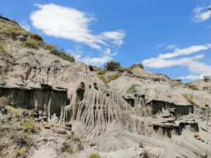 Excursión Terrestre Al Desierto De La Tatacoa, Aventura Desértica Y Piscilodo., ¡Vívelo este viernes 4 de agosto de 2023!