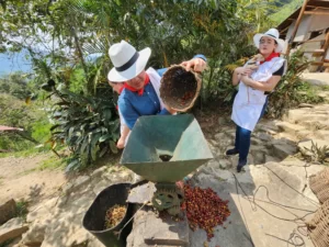 Coffee Tour En Medellín - Experiencia Cafetera Tour Del Café, ¡Empaca tu maleta y vámonos el sábado 19 de agosto de 2023!
