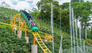 Excursión Terrestre Al Eje Cafetero Desde Medellín, Con Ingreso A Los Principales Parques Y Atracciones De La Region Segun El Plan Elijas., ¡Comparte en familia el viernes 1 de marzo de 2024!