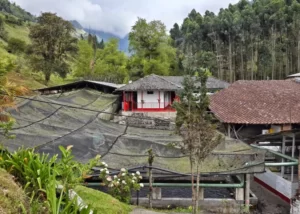 Tour A El Jardín, Antioquia, ¡Vamos a disfrutarlo el sábado 20 de abril de 2024!