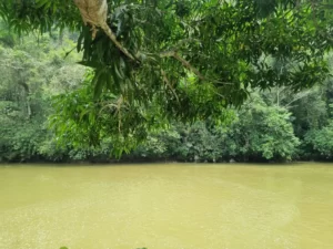 Un Viaje Entre Ríos Y Cavernas, Magdalena Medio Antioqueño, ¡Vívelo este domingo 25 de agosto de 2024!