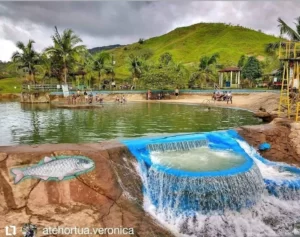 Concepción Y Alejandría, ¡Vamos a disfrutarlo el domingo 19 de mayo de 2024!