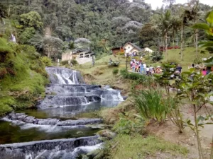 Excursión Terrestre Al Eje Cafetero Desde Medellín, ¡Disfrútalo este martes 11 de junio de 2024!
