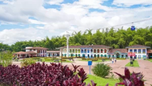 Excursión Terrestre Al Eje Cafetero Desde Medellín, ¡Disfrútalo este martes 13 de agosto de 2024!