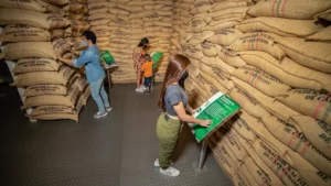 Excursión Terrestre Al Eje Cafetero Desde Medellín, ¡Viaje programado para el sábado 6 de julio de 2024!