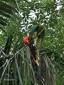 Tour A La Hacienda Nápoles Con Ingreso A La Sabana Africana, Museo Y Zonas Húmedas, ¡Empaca tu maleta y vámonos el domingo 10 de noviembre de 2024!
