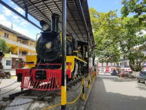 Recorriendo Cisneros, ¡Viaje programado para el jueves 17 de abril de 2025!
