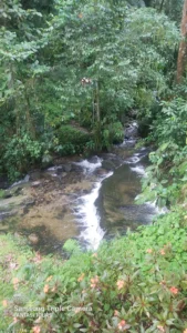 Termales Santa Rosa Con Visita A Buga, ¡Viaje programado para el sábado 20 de septiembre de 2025!