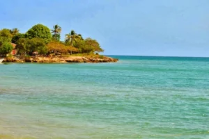 Isla Fuerte: Un Lugar Donde El Tiempo Se Detiene, ¡Viaja este viernes 28 de noviembre de 2025!