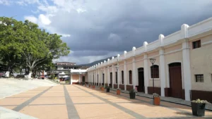 Recorriendo Cisneros, ¡Viaja el domingo 30 de noviembre de 2025!