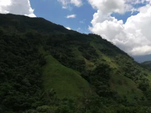 Senderismo Al Río Melcocho, ¡Únete este domingo 2 de noviembre de 2025!