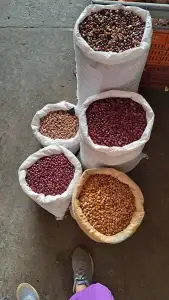 Descubre El Amanecer, Urrao Paraiso Escondido, ¡Viaja el sábado 6 de junio de 2026!