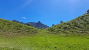 San Carlos Conexion Natural, ¡Viaja este sábado 13 de junio de 2026!