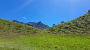 San Carlos Conexion Natural, ¡Acompáñanos el sábado 2 de mayo de 2026!