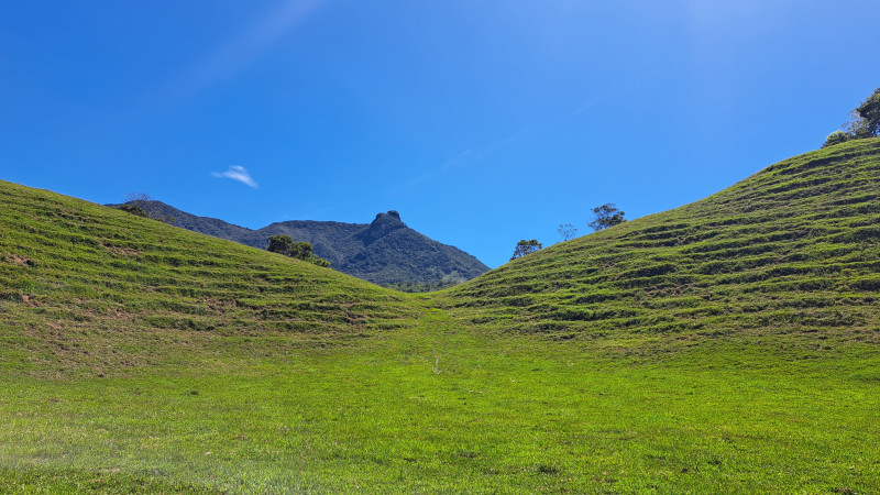 San Carlos Conexion Natural, ¡Acompáñanos el sábado 2 de mayo de 2026!