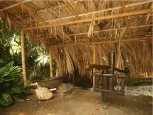 Excursión Terrestre Al Sur De Colombia: Buga, Pasto, Ipiales Y Popayán, ¡Viaje programado para el martes 28 de abril de 2026!