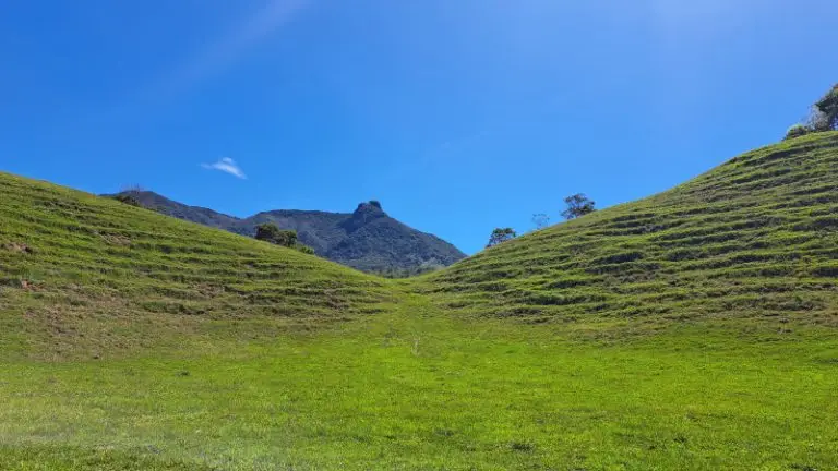 San Carlos Conexion Natural, ¡Comparte en familia el jueves 16 de abril de 2026!