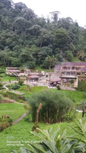 Termales Santa Rosa Con Visita A Buga, ¡Vamos a disfrutarlo el domingo 14 de junio de 2026!