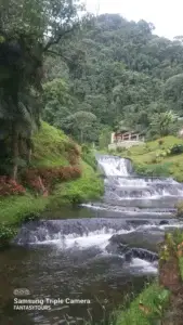Termales Santa Rosa Con Visita A Buga, ¡Comparte en familia el sábado 16 de mayo de 2026!