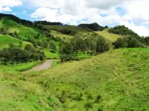 Ruta De La Leche, ¡Viaje programado para el domingo 16 de agosto de 2026!