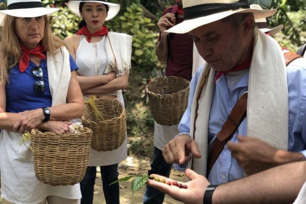 Coffee Tour En Medellín - Experiencia Cafetera Tour Del Café, ¡Acompáñanos el viernes 25 de agosto de 2023!Coffee Tour En Medellín - Experiencia Cafetera Tour Del Café, ¡Acompáñanos el viernes 25 de agosto de 2023!