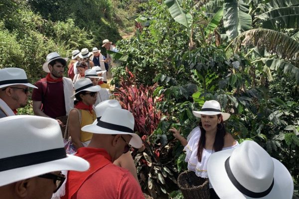 Coffee Tour En Medellín - Experiencia Cafetera Tour Del Café, ¡Acompáñanos el viernes 25 de agosto de 2023!
