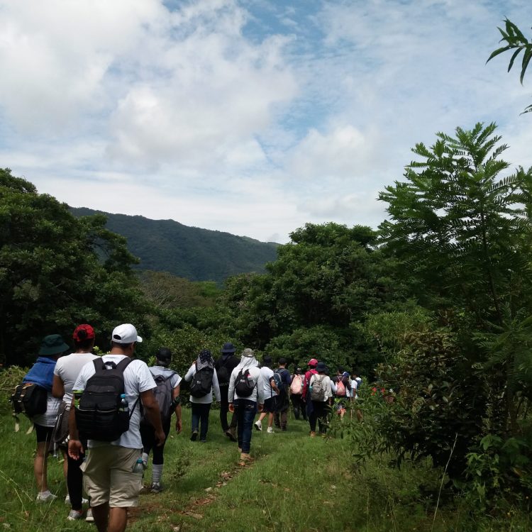 Caminada ecologica en San Jerónimo