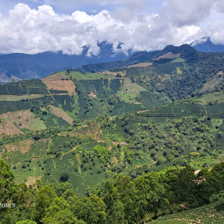 Betania: Machu Picchu Antioqueño, ¡Comparte en familia el domingo 21 de abril de 2024!