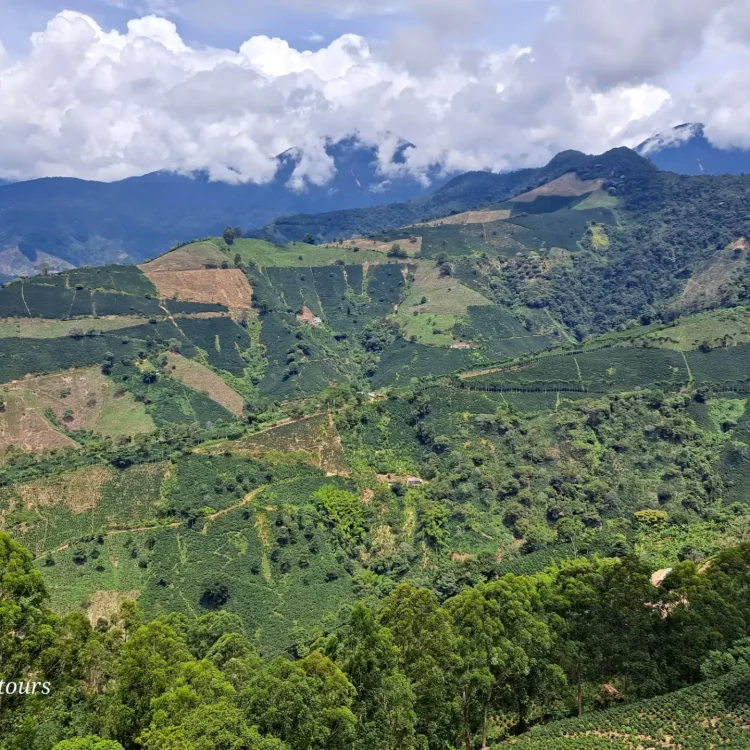 Betania: Machu Picchu Antioqueño, ¡Vívelo este domingo 24 de mayo de 2026!