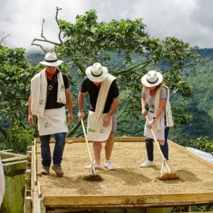 Coffee Tour En Medellín - Experiencia Cafetera Tour Del Café, ¡Acompáñanos el jueves 2 de febrero de 2023!