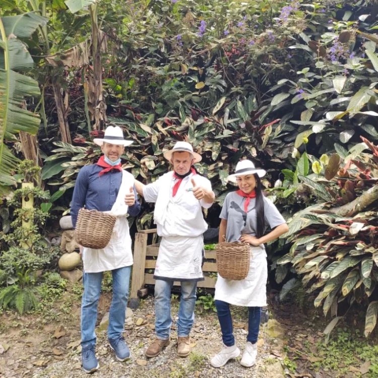 Coffee Tour En Medellín - Experiencia Cafetera Tour Del Café, ¡Acompáñanos el jueves 2 de marzo de 2023!