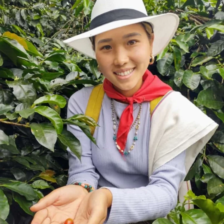 Coffee Tour En Medellín - Experiencia Cafetera Tour Del Café, ¡Comparte en familia el lunes 13 de marzo de 2023!