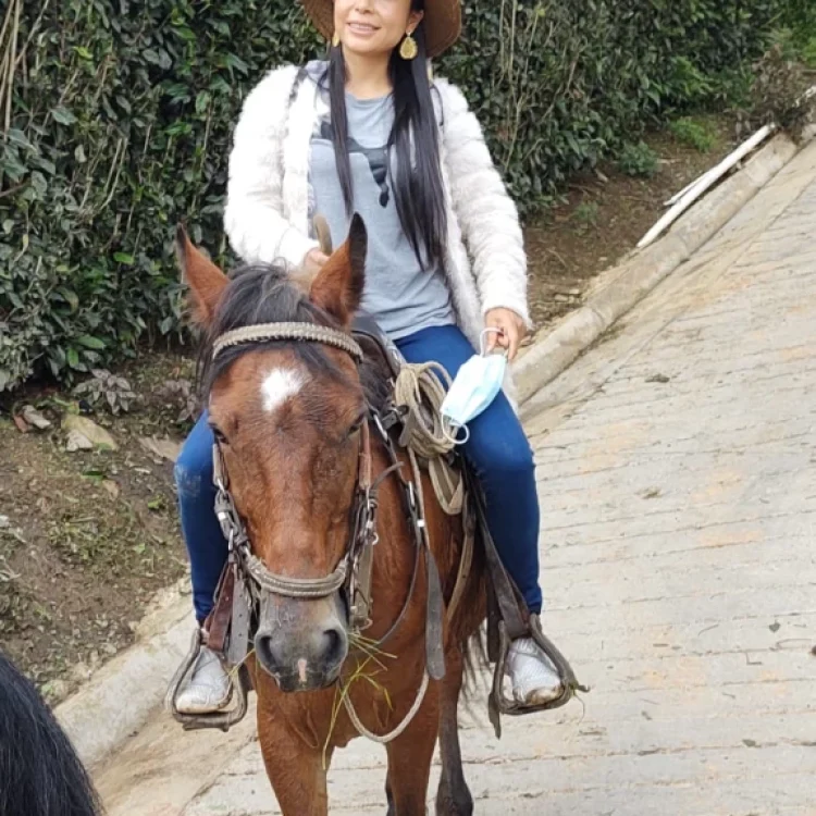 Coffee Tour En Medellín - Experiencia Cafetera Tour Del Café, ¡Vívelo este lunes 2 de enero de 2023!