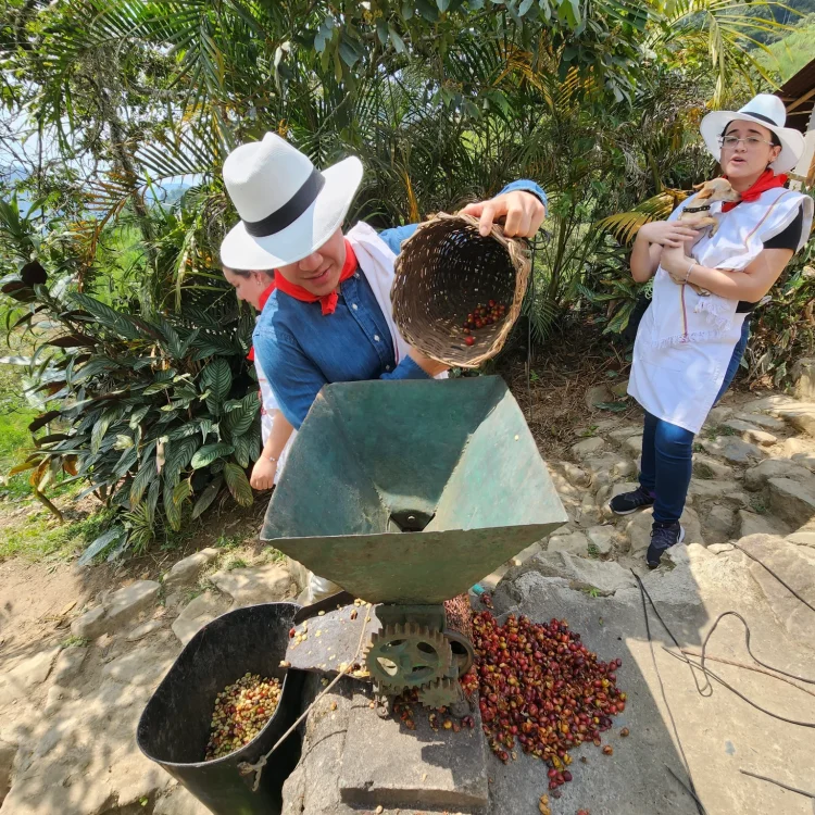 Coffee Tour En Medellín - Experiencia Cafetera Tour Del Café, ¡Viaja este jueves 13 de julio de 2023!