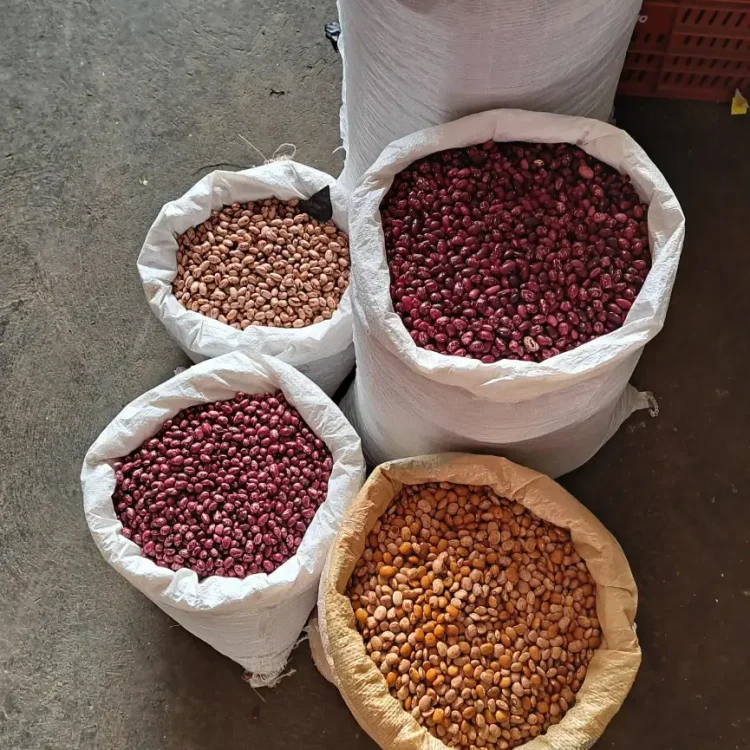 Descubre El Amanecer, Urrao Paraiso Escondido, ¡Viaja el sábado 6 de junio de 2026!