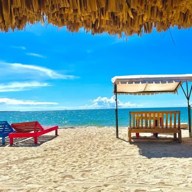 Excursión A Las Playas De Rincón Del Mar, ¡Viaja el viernes 13 de marzo de 2026!