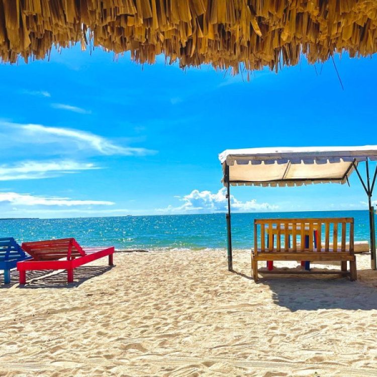 Excursión A Las Playas De Rincón Del Mar, ¡Vamos a disfrutarlo el viernes 16 de enero de 2026!