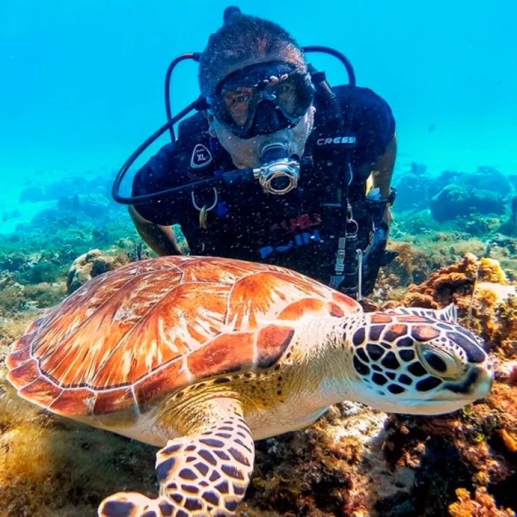 Excursión A San Andrés Desde Medellín En El Puente De Marzo Con Tour Vuelta A La Isla, Acuario, Hannes Kay Y Manglares, ¡Únete este miércoles 15 de marzo de 2023!