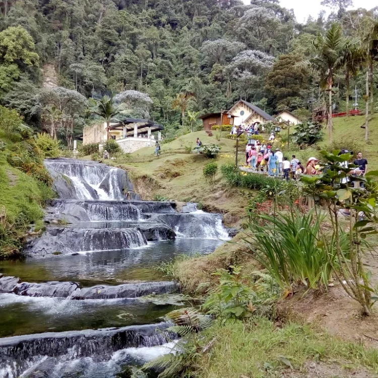 Excursión Terrestre Al Eje Cafetero Desde Medellín, ¡Viaje programado para el martes 6 de agosto de 2024!
