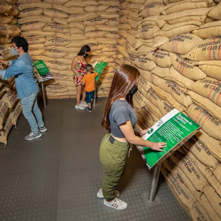 Excursión Terrestre Al Eje Cafetero Desde Medellín, ¡Viaje programado para el sábado 6 de julio de 2024!