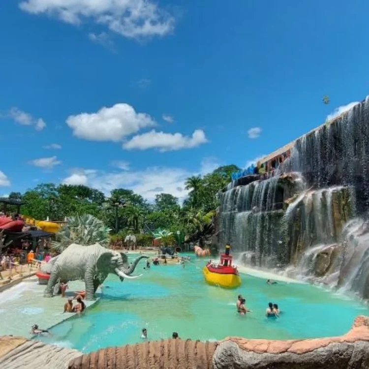 Mega Promo Hacienda Nápoles 50% De Descuento, Con Ingreso A La Sabana Africana, Museo Y Zonas Húmedas, ¡Listos para viajar el jueves 15 de mayo de 2025!