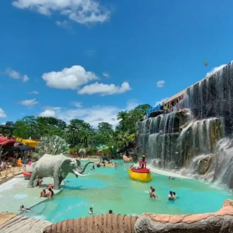 Mega Promo Hacienda Nápoles 50% De Descuento, Con Ingreso A La Sabana Africana, Museo Y Zonas Húmedas, ¡Disfrútalo este jueves 21 de mayo de 2026!